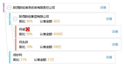 陜西陜哈商務(wù)咨詢(xún)有限責(zé)任公司